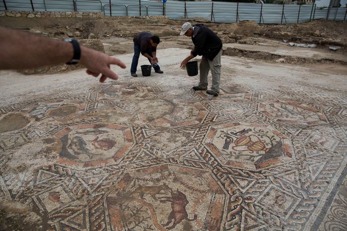 В израильском городе Лод нашли вторую мозаику-бестиарий (7 фото)