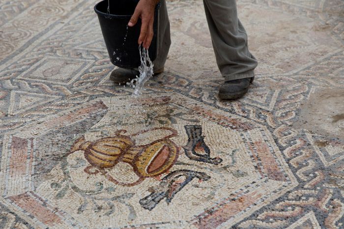 В израильском городе Лод нашли вторую мозаику-бестиарий (7 фото)