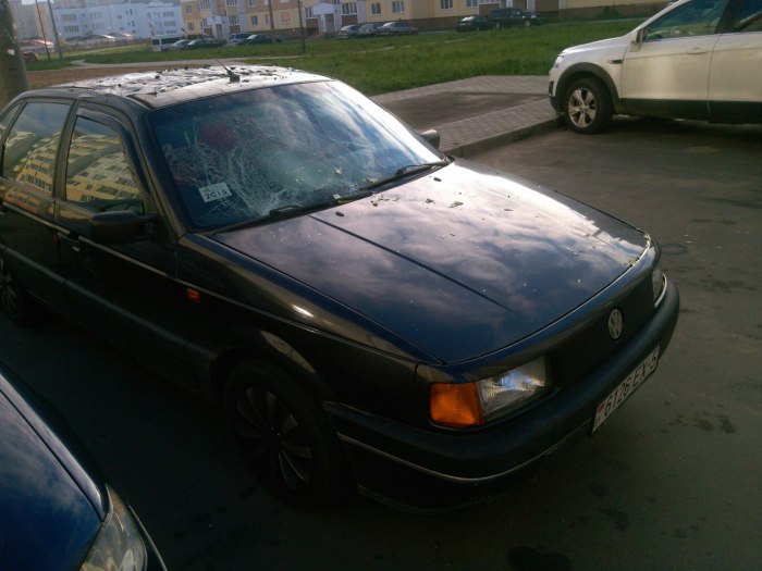 В Белоруссии на припаркованный автомобиль сбросили два кочана капусты (10 фото)