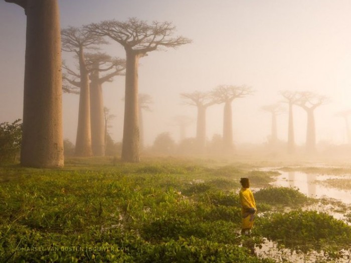 Лучшие фотографии, присланные в редакцию National Geographic, в этом году (40 фото)