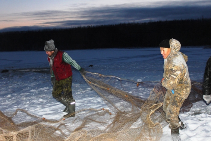 Мунха - зимняя рыбалка по-якутски (17 фото)