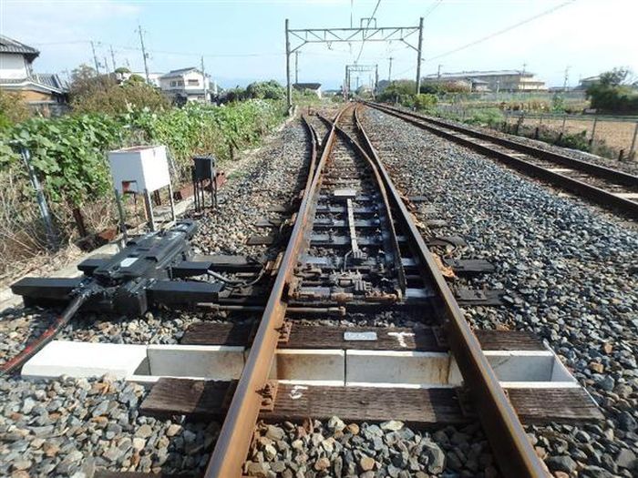 В Японии железнодорожные пути оборудовали тоннелями для черепах (3 фото)