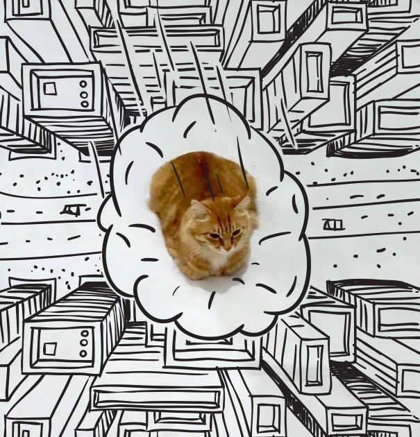 Новый тест на определение творческих способностей с фотографией кота (31 рисунок)