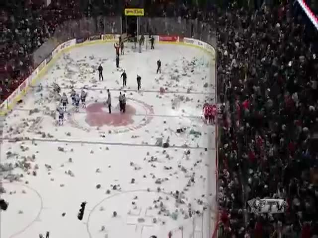 Хоккейные болельщики выбросили на лед 28 815 плюшевых мишек