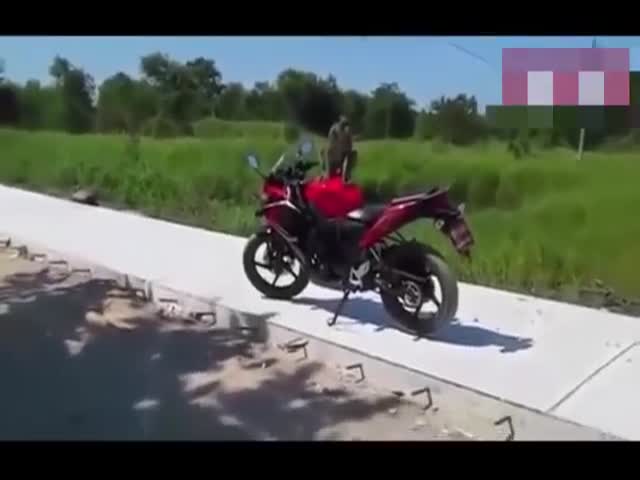 Мотоциклист подрался с обезьяной