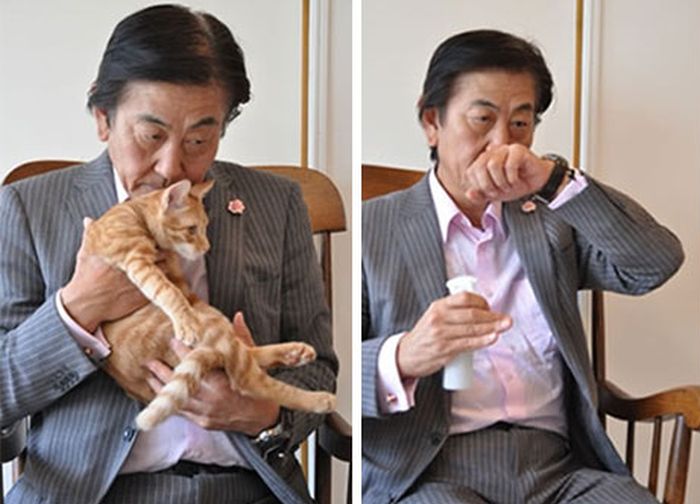В Японии выпустили парфюм с ароматом кошачьего затылка (5 фото)