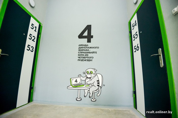 На стенах подъездов белорусской новостройки «поселился» забавный кот по кличке Борис (21 фото)