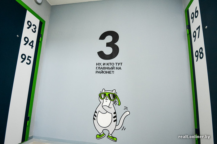 На стенах подъездов белорусской новостройки «поселился» забавный кот по кличке Борис (21 фото)