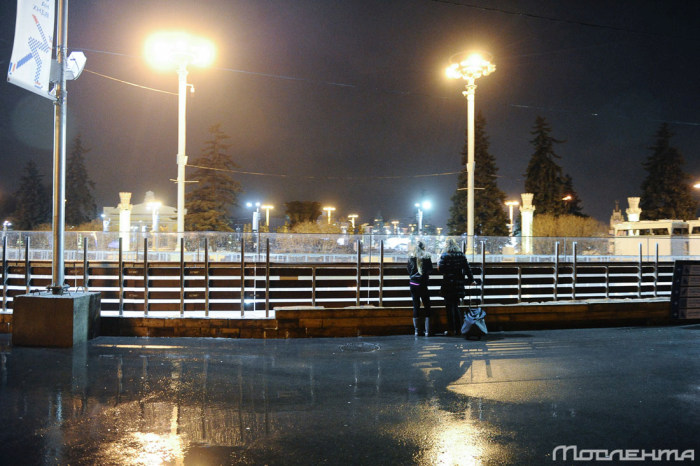 Последствия аномально теплой погоды в Москве (20 фото)