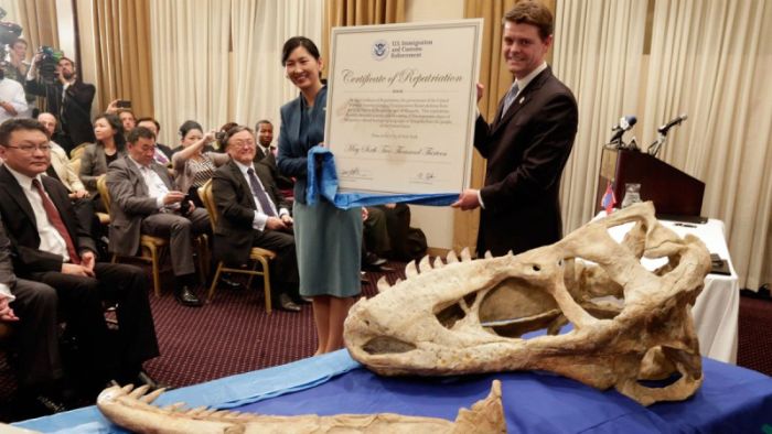 Николас Кейдж вернет украденный череп динозавра властям Монголии (2 фото)
