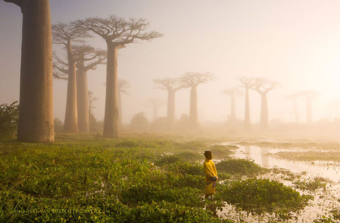 Топ-20 фотографий журнала National Geographic за 2015 год (20 фото)