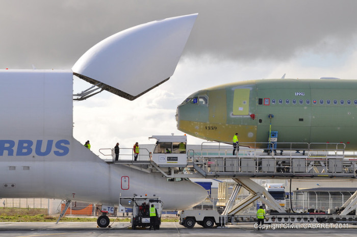 Airbus Beluga - воздушный «грузовик» (11 фото)