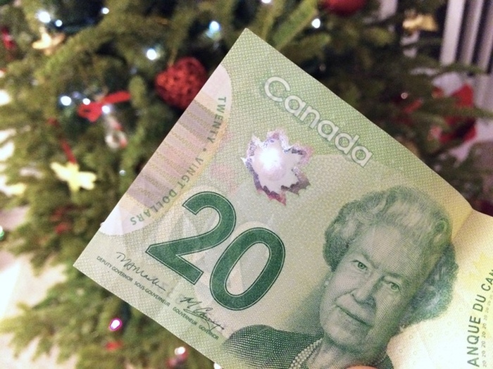 Новые канадские доллары (7 фото)