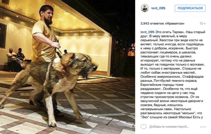Спикер чеченского парламента Магомед Даудов пригрозил оппозиционерам овчаркой Кадырова (2 фото)