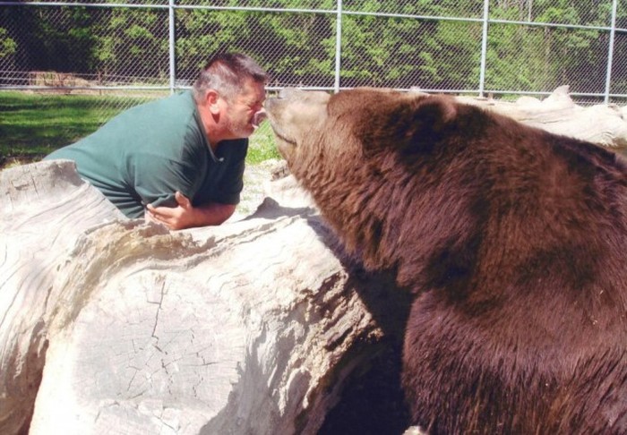 Как 700-килограммовый медведь стал настоящим другом американца (6 фото + видео)