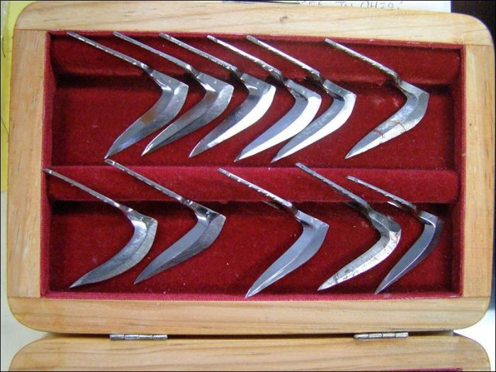 Металлические шпоры - холодное оружие петушиных боев (10 фото)