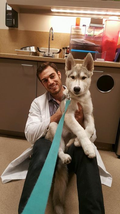 Эван Антин - самый сексуальный ветеринар в мире (33 фото)