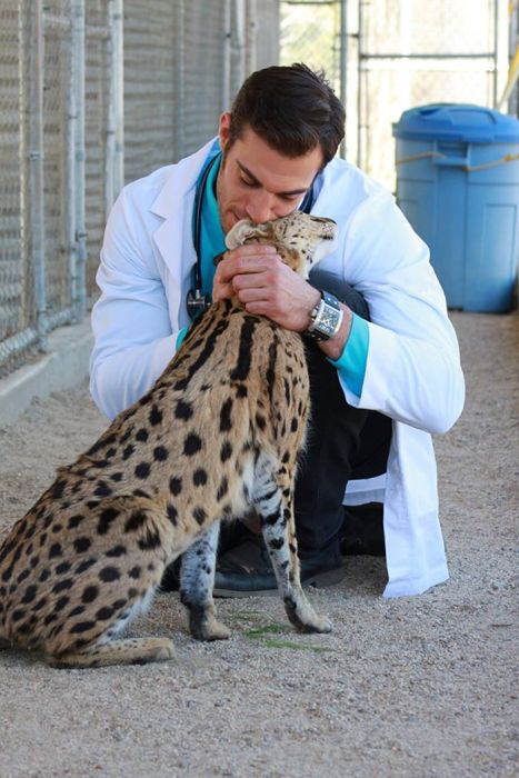 Эван Антин - самый сексуальный ветеринар в мире (33 фото)