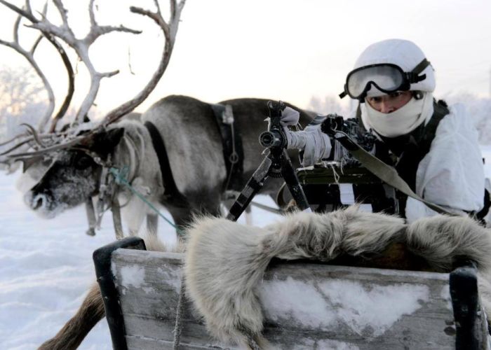 Российские разведчики научились управлять собачьими и оленьими упряжками (15 фото)