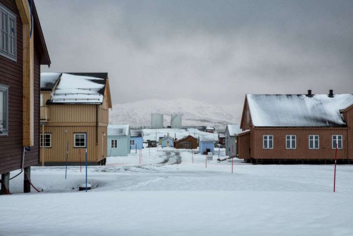 Как живется ученым в деревне Ню-Олесунн - самом северном поселке планеты (12 фото)