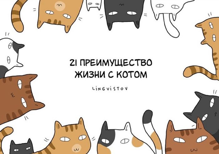 Преимущества жизни с котом в веселых комиксах (22 картинки)