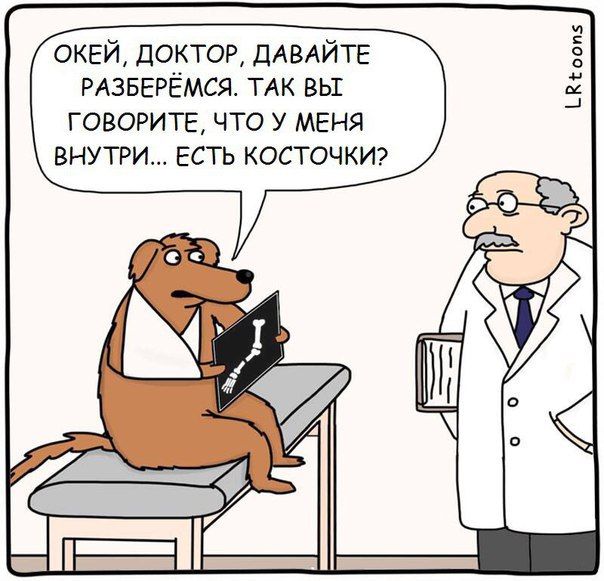 Смешные комиксы (20 картинок)