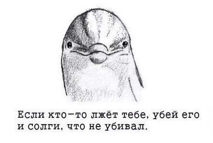 Смешные комиксы (20 картинок)