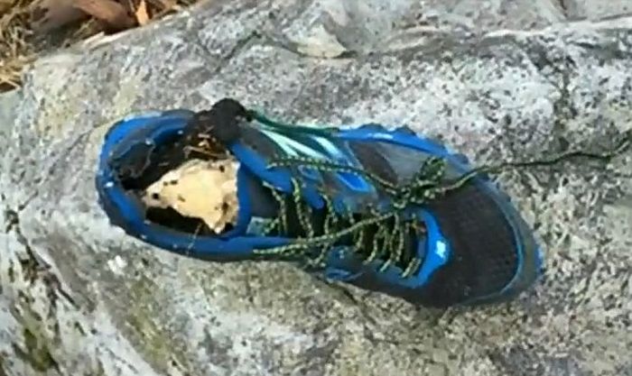 На пляже Ванкувера обнаружили обутую в кроссовок человеческую ступню (3 фото)