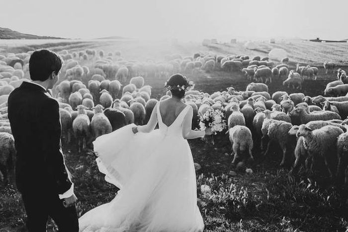 Самые красивые свадебные фото 2015 года (34 фото)