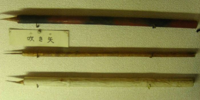 Самое смертоносное оружие из арсенала ниндзя (10 фото)