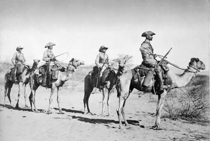 Зачем немцы пили воду с фекалиями верблюдов в Африке? (2 фото)