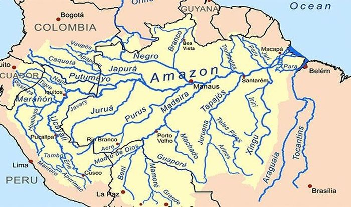 Удивительные факты об Амазонке (26 фото)