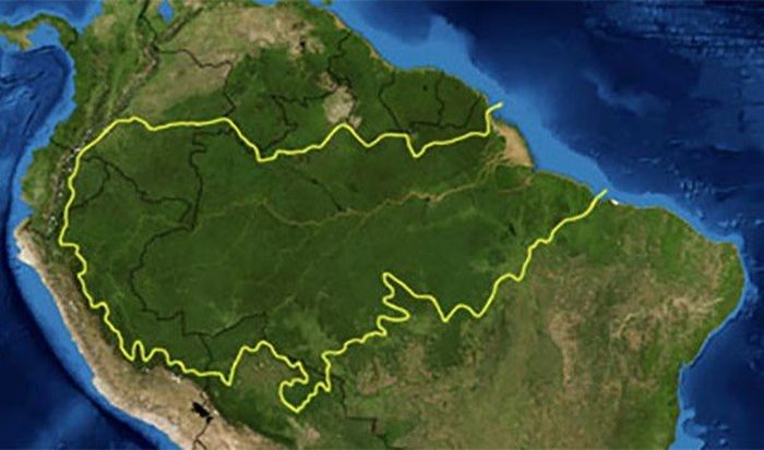 Удивительные факты об Амазонке (26 фото)