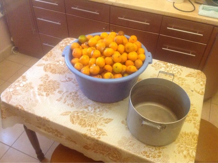 Как приготовить самогон из мандарин (12 фото)
