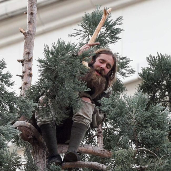Странный американец залез на дерево (4 фото)