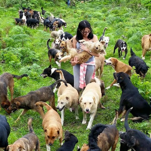 Собачий рай в Коста-Рике (10 фото)