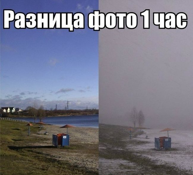 Прикольные картинки. Дневной выпуск (53 фото)