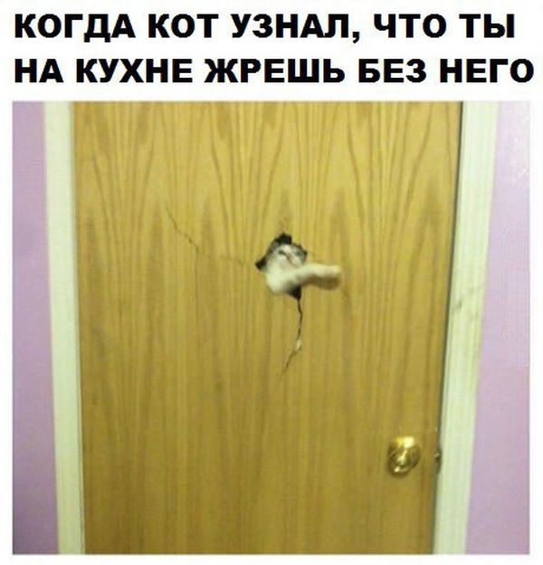Прикольные картинки. Дневной выпуск (53 фото)