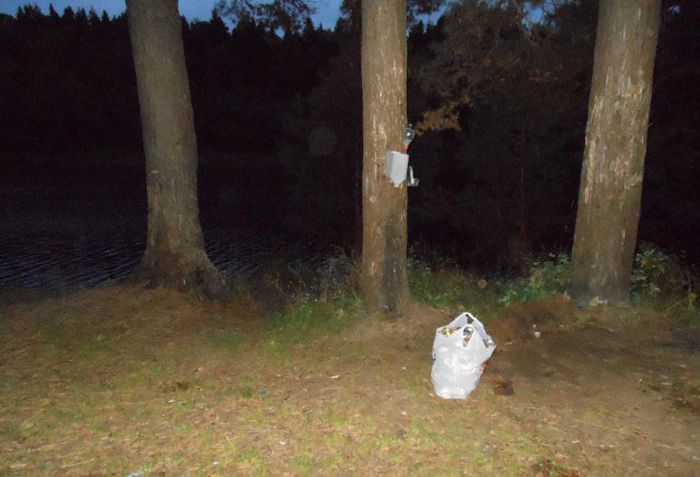 Как дачница лес от мусора спасала (10 фото)