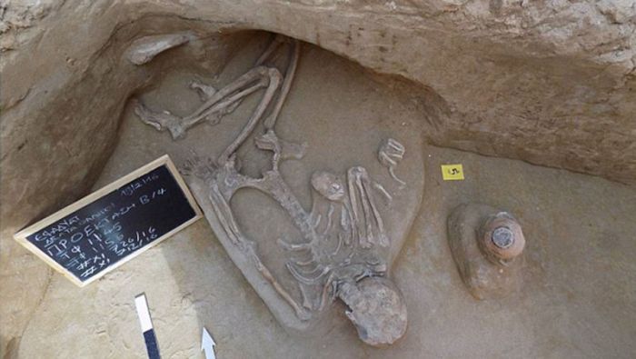 Рядом с Афинами нашли братскую могилу соратников древнегреческого тирана Килона (4 фото)