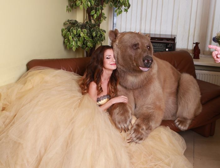 Смелая фотосессия девушки с медведем (20 фото)