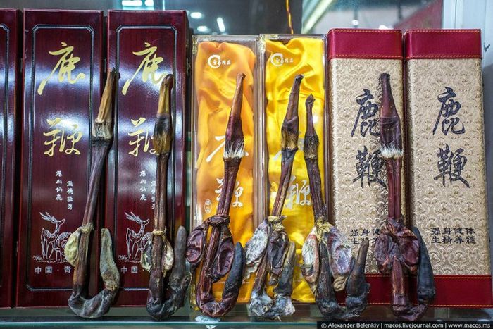Магазин сушеных пенисов в Китае (8 фото)