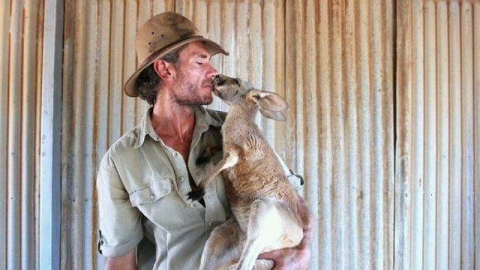 Крис Барнс - спаситель детенышей кенгуру (20 фото)