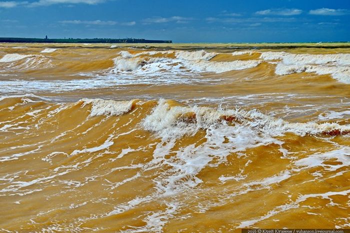 В Крыму воды Черного моря окрасились в желтый цвет (3 фото + видео)