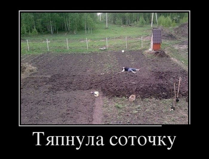 Демотиваторы (30 фото)