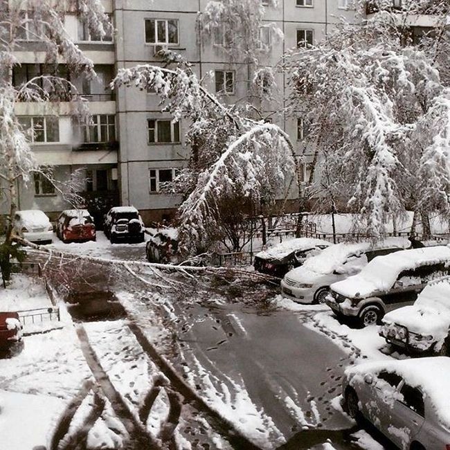 Последствия сильного снегопада в Красноярске (17 фото)