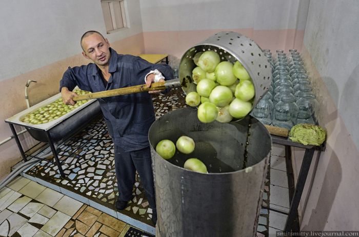 Завод по переработке и консервированию овощей в колонии строгого режима (37 фото)