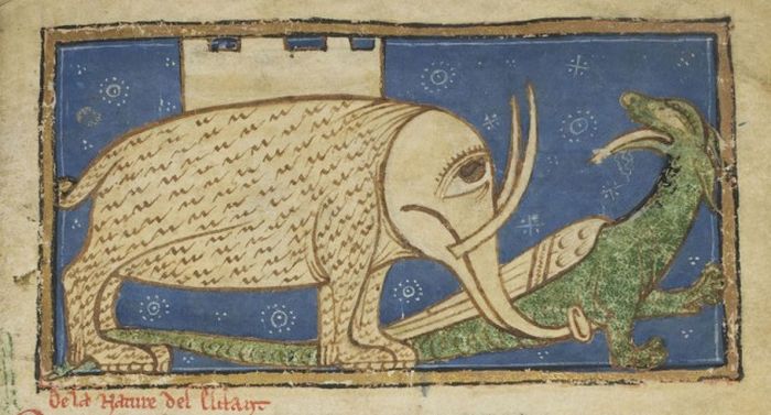 Как средневековые художники слонов рисовали (20 фото)