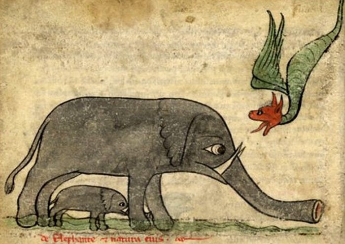 Как средневековые художники слонов рисовали (20 фото)