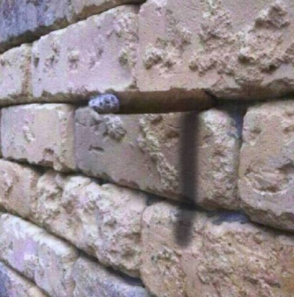 Оптическая иллюзия с кирпичной стеной, которая введет вас в замешательство (5 фото)